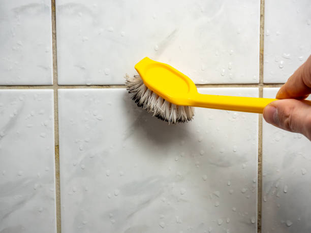 Best Mold Removal Near Me  in Cornwells Heights, PA