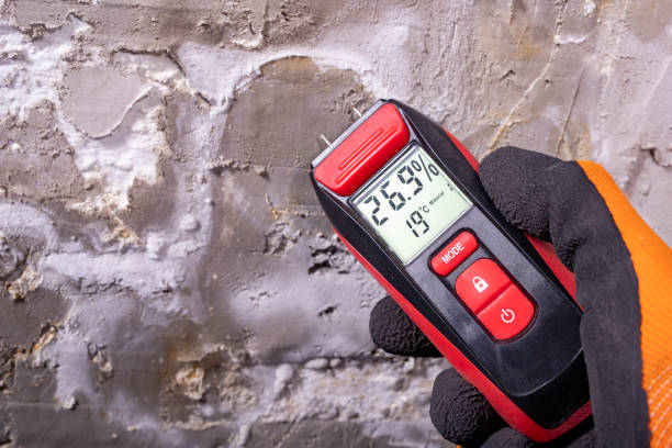 Best Certified Mold Removal  in Cornwells Heights, PA