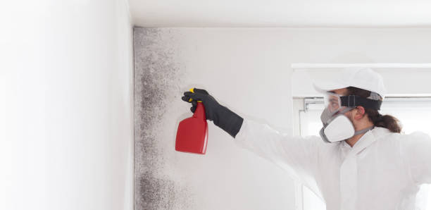 Best Crawl Space Mold Removal  in Cornwells Heights, PA